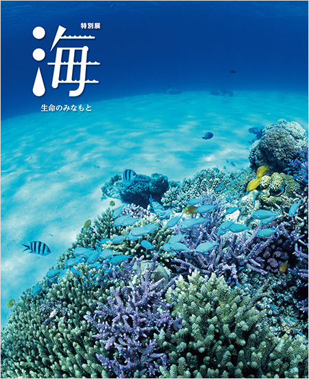特別展「海 ―生命のみなもと―」　図録
