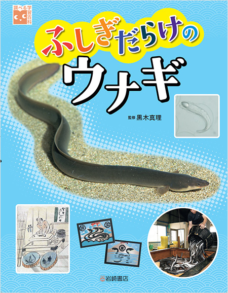 ふしぎだらけのウナギ