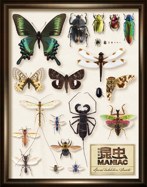 2024-07｜特別展「昆虫 MANIAC」公式図録