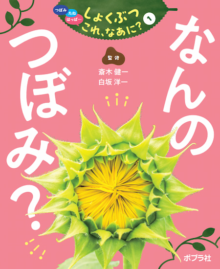 2024-04｜つぼみ　たね　はっぱ･･･しょくぶつ　これ、なあに？（全7巻）