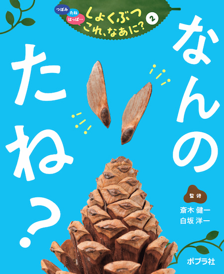 2024-04｜つぼみ　たね　はっぱ･･･しょくぶつ　これ、なあに？（全7巻）