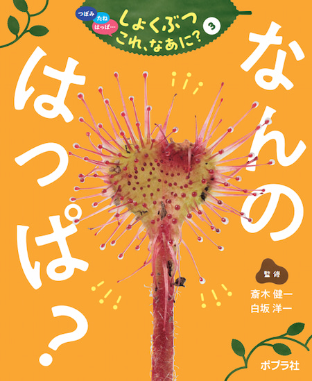 2024-04｜つぼみ　たね　はっぱ･･･しょくぶつ　これ、なあに？（全7巻）