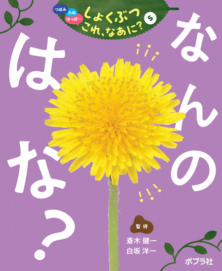 <small>つぼみ　たね　はっぱ･･･</small><br>しょくぶつ　これ、なあに？　全7巻<br><small>①なんのつぼみ？<br>②なんのたね？<br>③ なんのはっぱ？<br>④なんのみ？<br>⑤なんのはな？<br>⑥なんのふゆめ？<br>⑦なんのくき？ </small>
