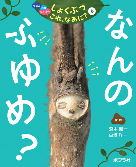 <small>つぼみ　たね　はっぱ･･･</small><br>しょくぶつ　これ、なあに？　全7巻<br><small>①なんのつぼみ？<br>②なんのたね？<br>③ なんのはっぱ？<br>④なんのみ？<br>⑤なんのはな？<br>⑥なんのふゆめ？<br>⑦なんのくき？ </small>