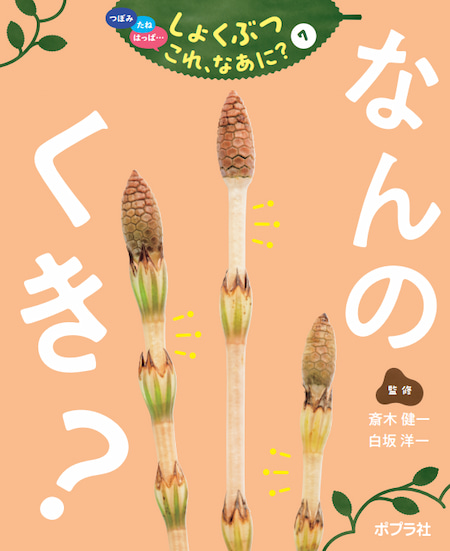 <small>つぼみ　たね　はっぱ･･･</small><br>しょくぶつ　これ、なあに？　全7巻<br><small>①なんのつぼみ？<br>②なんのたね？<br>③ なんのはっぱ？<br>④なんのみ？<br>⑤なんのはな？<br>⑥なんのふゆめ？<br>⑦なんのくき？ </small>